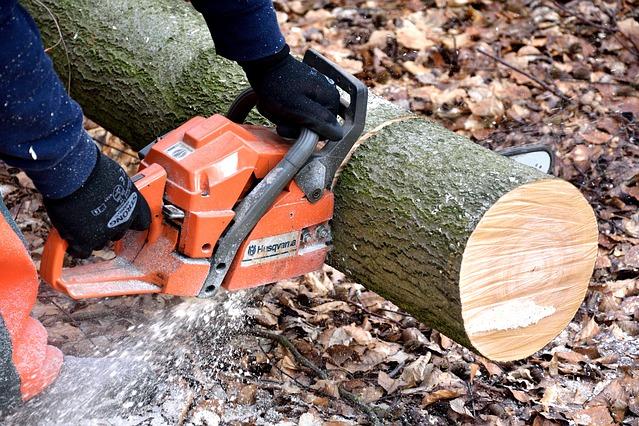 Bois à couper pour travaux