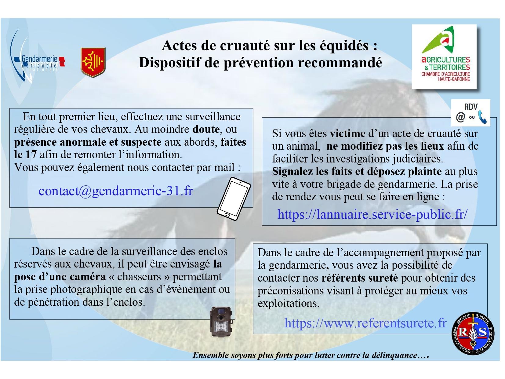 Actes cruauté chevaux