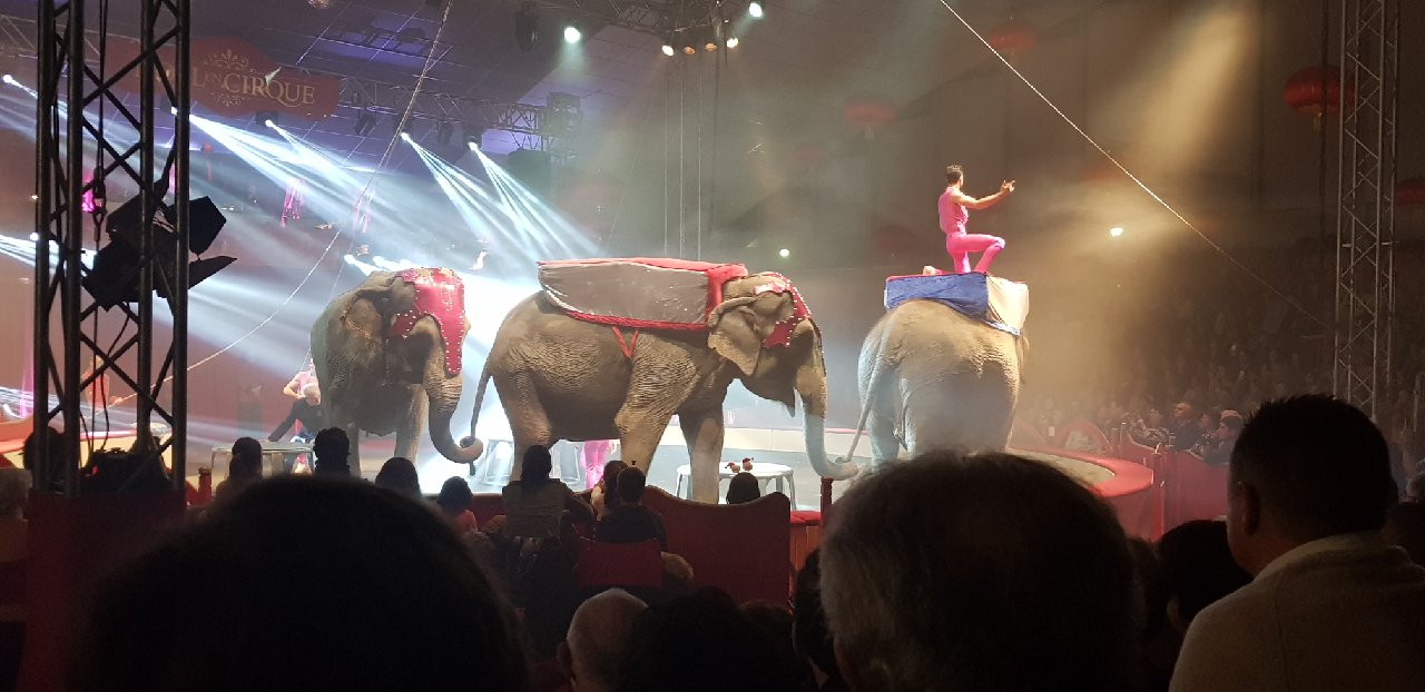 Noël en cirque 2019