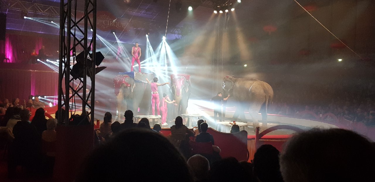 Noël en cirque 2019